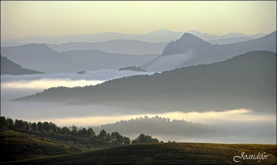 nieblas_al_amanecer-canonistas