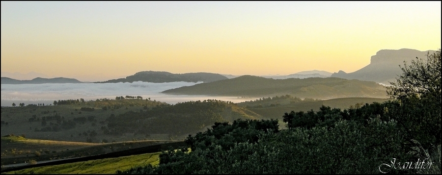 nieblas_al_amanecer_006-oly