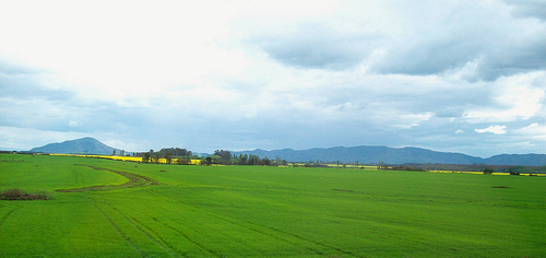 paisajeverde