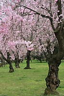 Japon-China_Abril_2010_404_.jpg