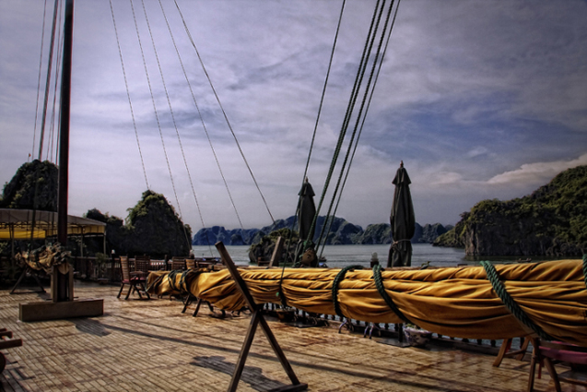 vieet_207b