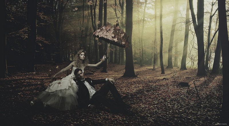 15581880570_3d4a77f0a8_c