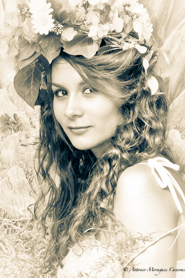 spring-2