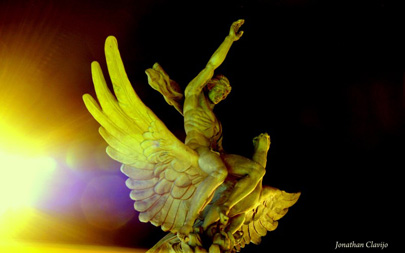 Ave_Fenix