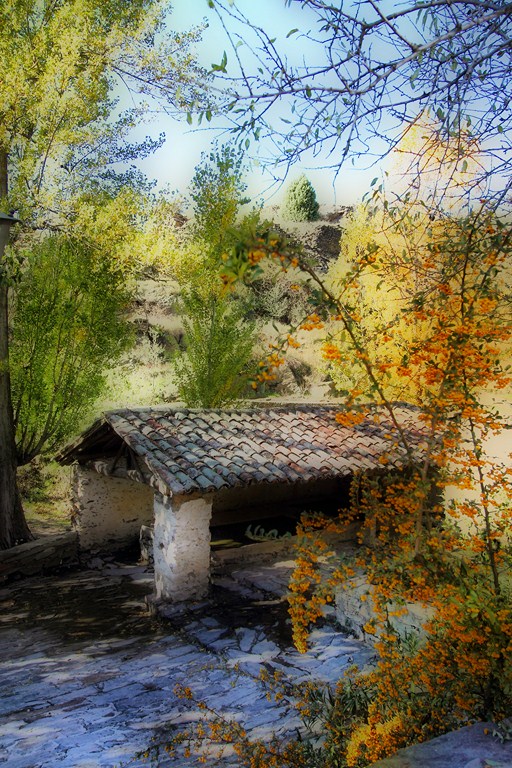 DPP_0215_Copiar_1