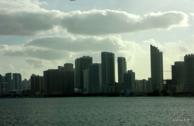 DSCN2781_-_copia