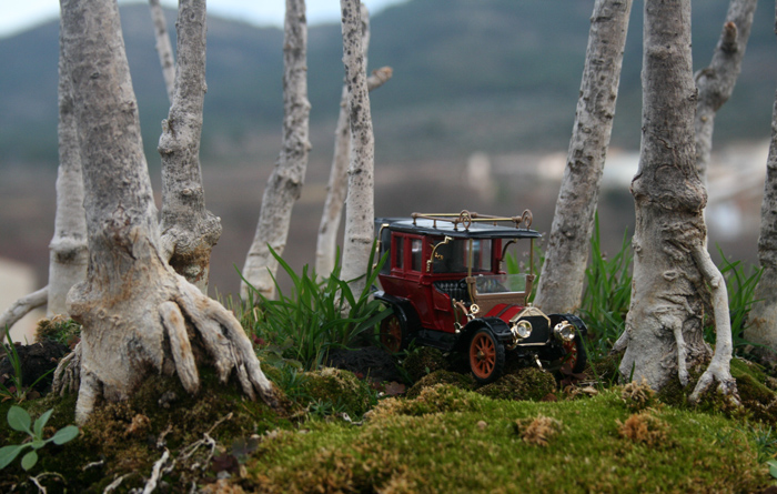bosque_de_epoca