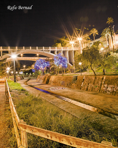 elche-rio-navidad