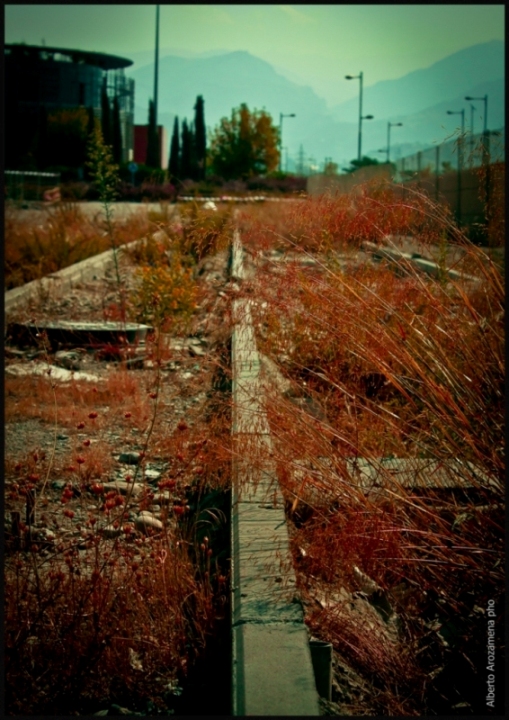 serie1-004