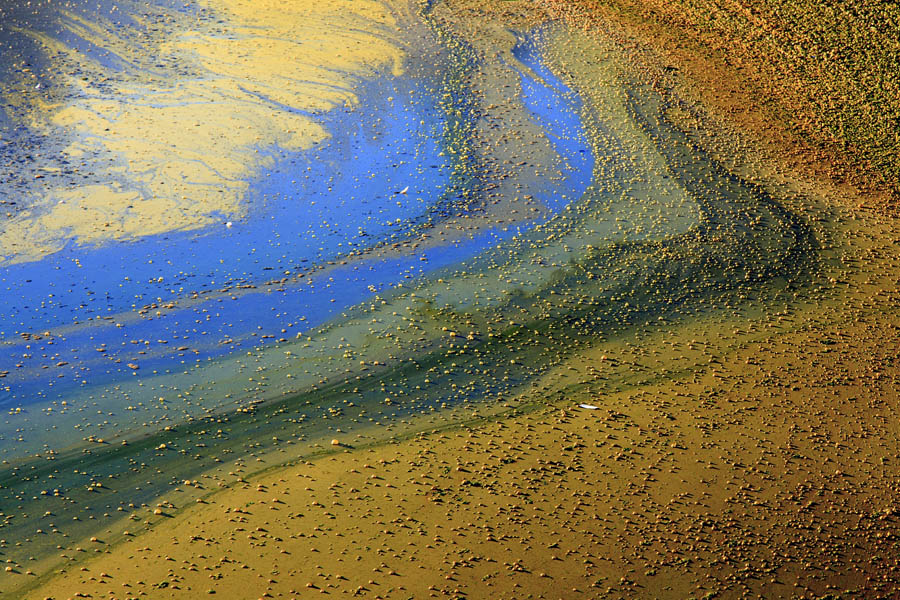 Colores_actracto