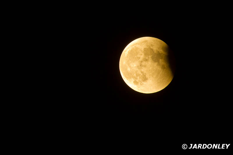 061106luna006-55
