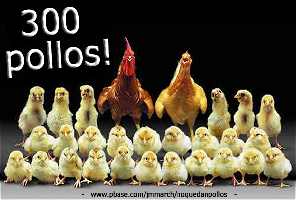 300_POLLOS