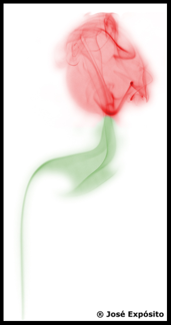 82a51dc266652d1ef3b7d8b92f04dcb1