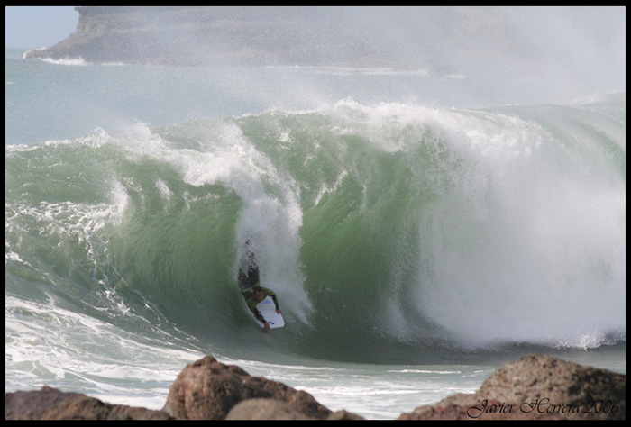 9907f80ee443d48a5d544741528251d3