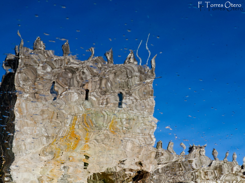 Distorsi_n_en_el_estanque_-_canonistas