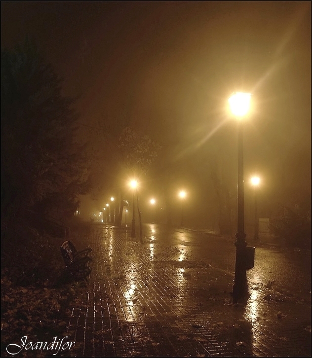 NIEBLA_NOCTURNA