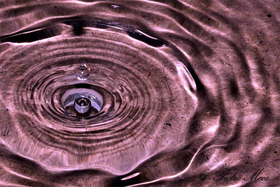 gota53