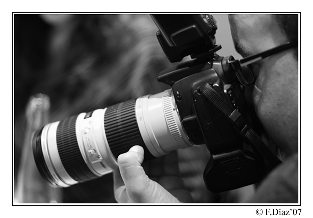 Macro_con_copito