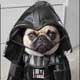 Avatar de Lord Vader