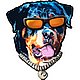 Avatar de Rotweiller