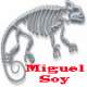 Avatar de Miguel Soy