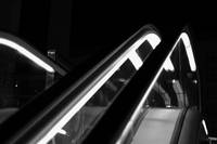 MG_31511.JPG