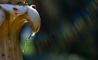PSN20090222-0109.jpg
