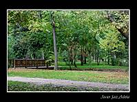 IMG_4417.jpg