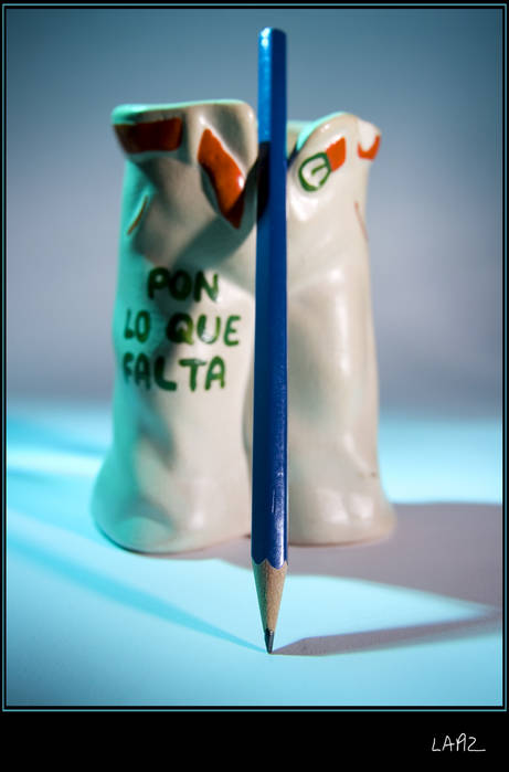 scualicorax_11_g8