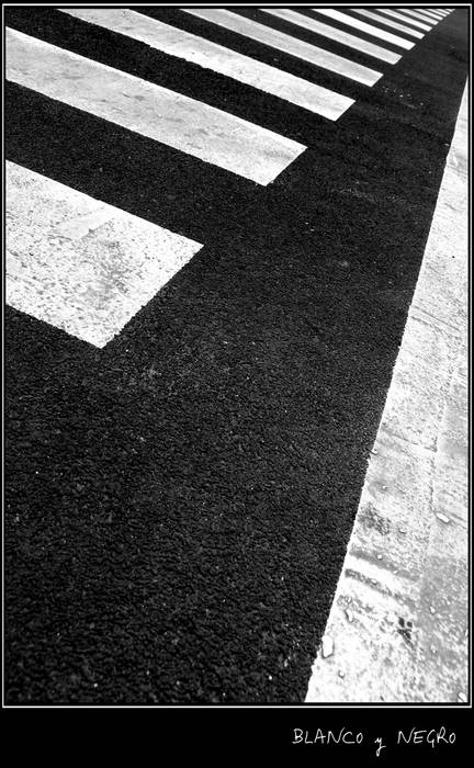 scualicorax_23_g8