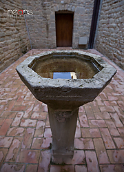 MG_06172.jpg
