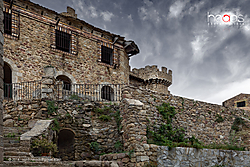 MG_54161.jpg