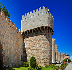 MG_7595_6_7.jpg