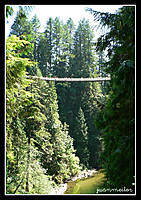 P1100013_copy.jpg