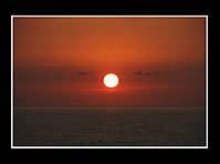 IMG_4287.jpg