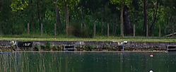 detalle_Banyoles2.jpg