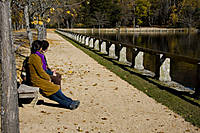 jdomin17_02_g10.jpg