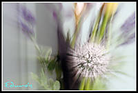 Ejercicio_015-Zooming1.jpg