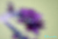 Ejercicio_018-Composicion.jpg