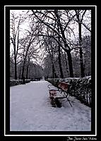 IMG_45571.jpg