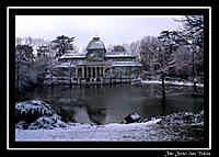 IMG_4581.jpg