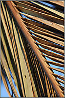 Lineas_ej_7.jpg