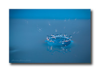 gotas_v3-121.jpg