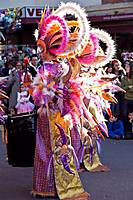 carnaval_329_Large_.jpg