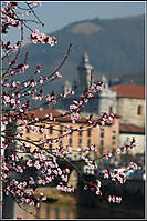 Tolosa21_16.jpg