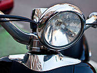pulpo_14_g111.jpg