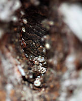 DPP_0222.jpg