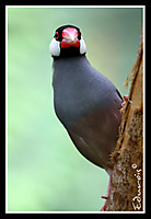 IMG_20571.JPG