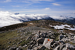IMG_39031.jpg