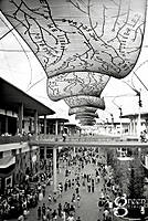 080719_2280p.jpg